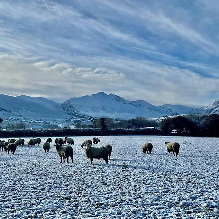 Cosy Farm On The Ring Of Kerry Gospodarstwo agroturystyczne
