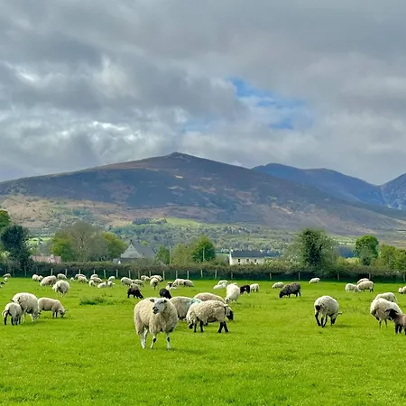 Cosy Farm On The Ring Of Kerry * Beaufort