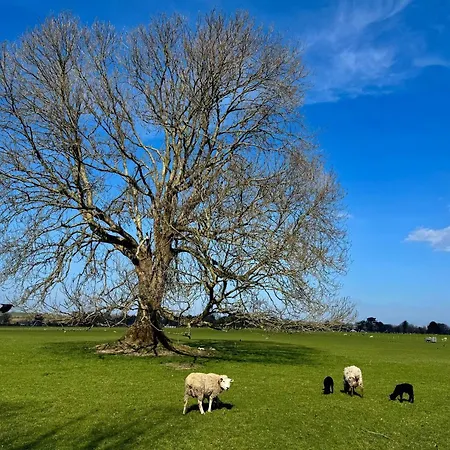 Cosy Farm On The Ring Of Kerry Beaufort