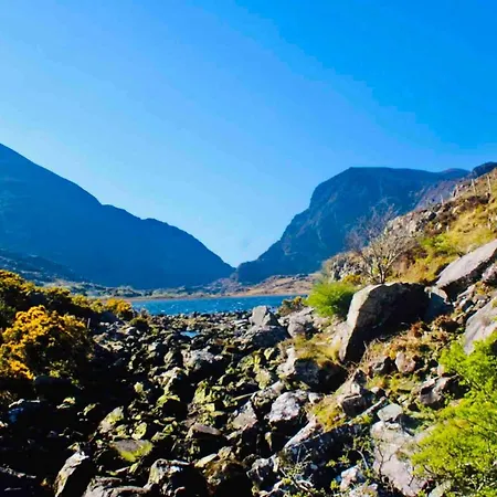 Gospodarstwo agroturystyczne Cosy Farm On The Ring Of Kerry