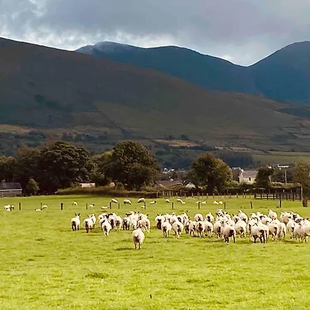 Cosy Farm On The Ring Of Kerry Beaufort