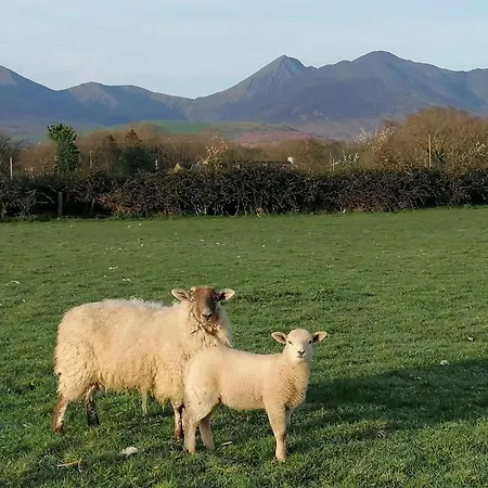 Cosy Farm On The Ring Of Kerry Gospodarstwo agroturystyczne Beaufort