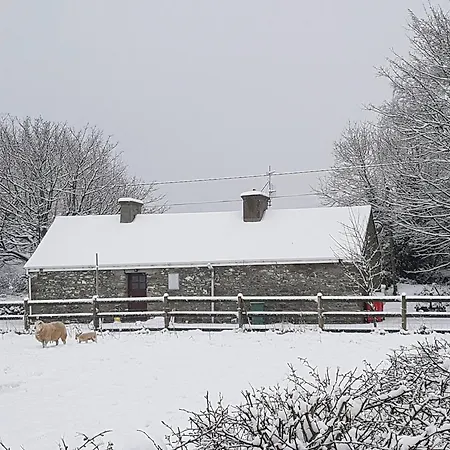 Gospodarstwo agroturystyczne Cosy Farm On The Ring Of Kerry *