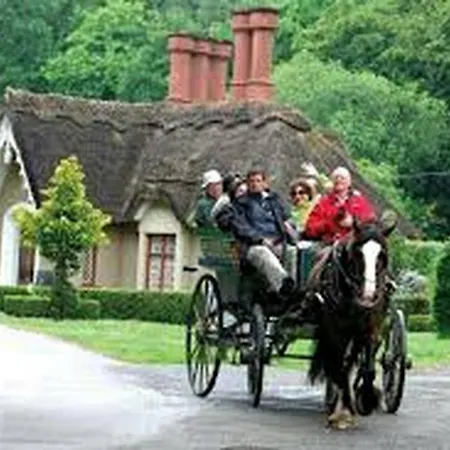 Cosy Farm On The Ring Of Kerry Gospodarstwo agroturystyczne Beaufort