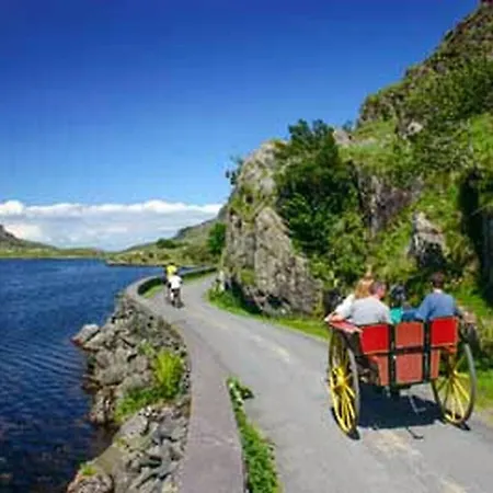 Gospodarstwo agroturystyczne Cosy Farm On The Ring Of Kerry *