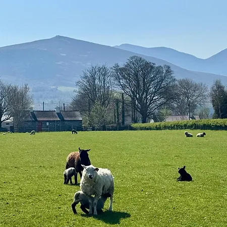 Cosy Farm On The Ring Of Kerry Beaufort