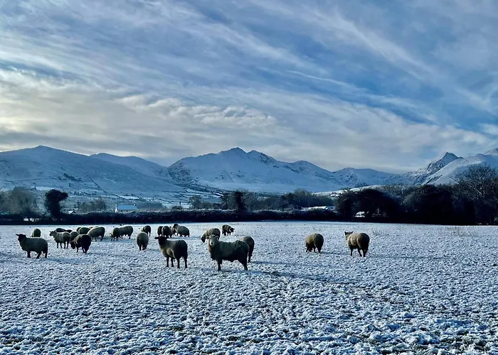 Cosy Farm On The Ring Of Kerry Feriegård