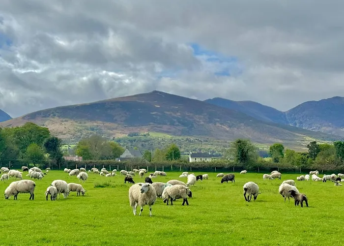 Cosy Farm On The Ring Of Kerry * Beaufort