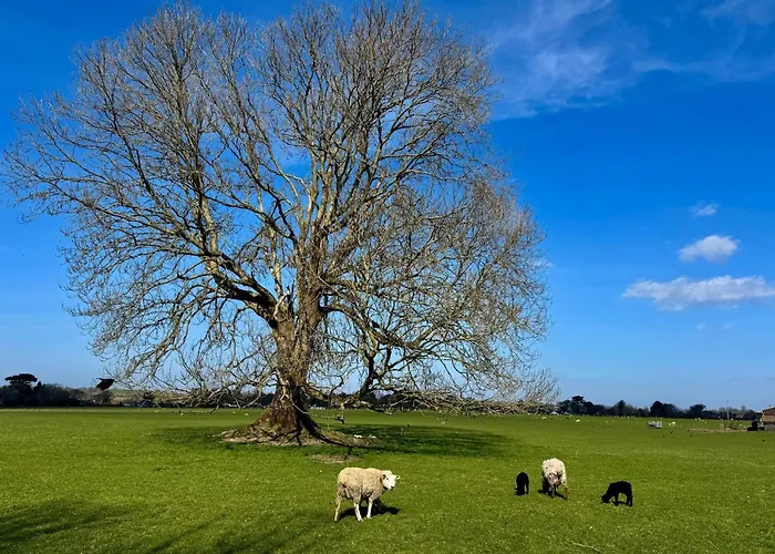 Cosy Farm On The Ring Of Kerry Beaufort