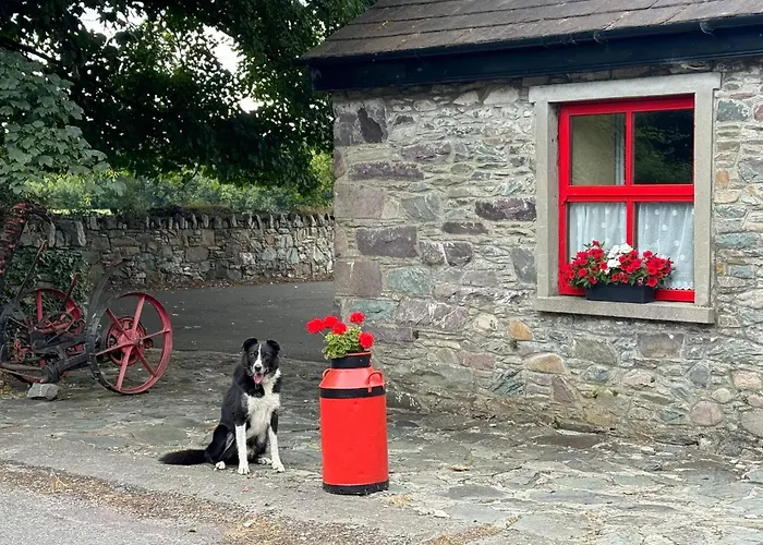 Cosy Farm On The Ring Of Kerry Bauernhof *