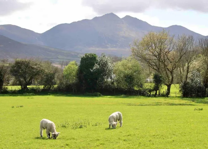 Cosy Farm On The Ring Of Kerry Feriegård *