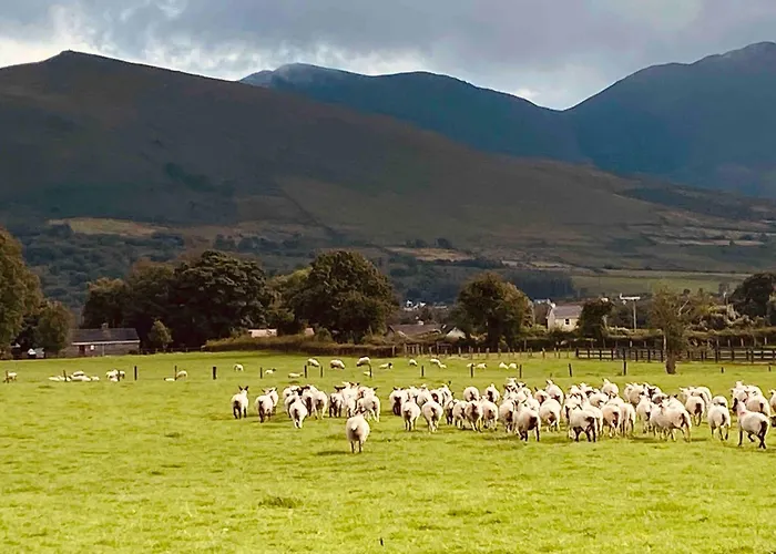 Cosy Farm On The Ring Of Kerry Beaufort