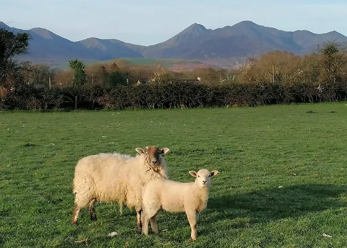 Cosy Farm On The Ring Of Kerry Feriegård Beaufort