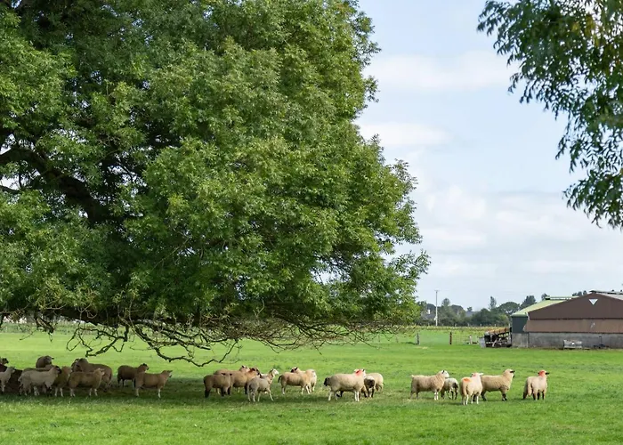 Bauernhof Cosy Farm On The Ring Of Kerry *