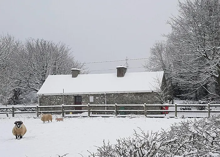 Bauernhof Cosy Farm On The Ring Of Kerry *