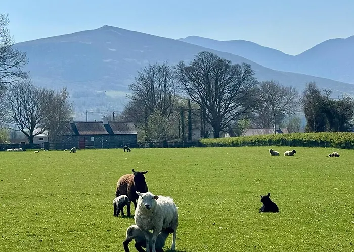 Cosy Farm On The Ring Of Kerry Beaufort